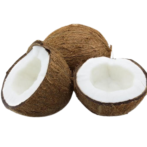 Coconut